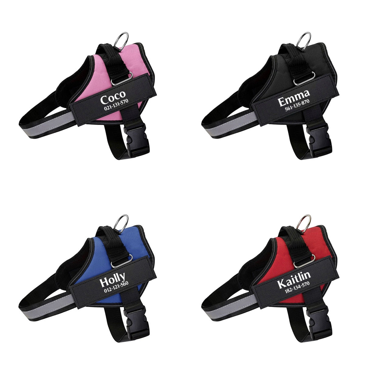 Personalized NO PULL Harness